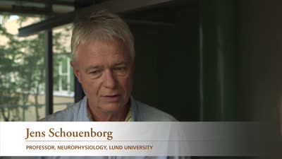 Breakthrough for Electrode Implants in the Brain