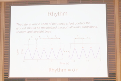 Dancing with Horses: Automated Quality Feedback for Dressage Riders