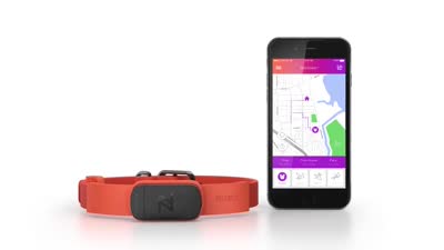 Nuzzle: The Most Reliable GPS Pet Collar