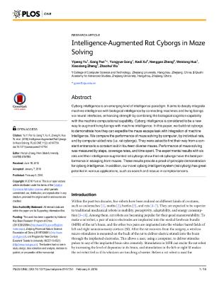 Intelligence-Augmented Rat Cyborgs in Maze Solving