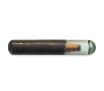 <b>Animal Identification Microchip, c. 2016</b>
<br />
Artifact no. 2016.0164
<br />
Canada Science and Technology Museum