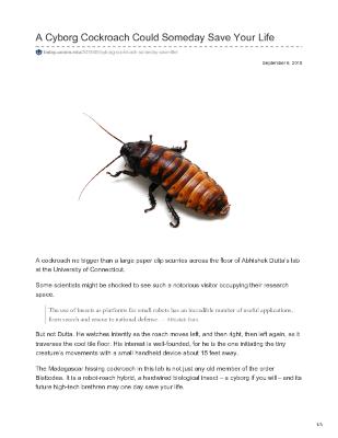 A Cyborg Cockroach Could Someday Save Your Life