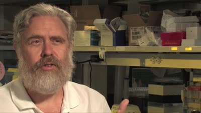 Harvard team encodes in DNA