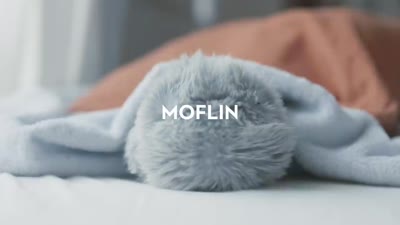 MOFLIN | An AI Pet Robot with Emotional Capabilities