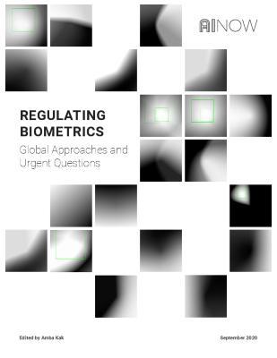 Regulating Biometrics: Global Approaches and Urgent Questions
