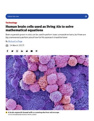 Human brain cells used as living AIs to solve mathematical equations